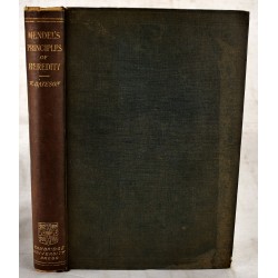 Mendel's Principles of Heredity